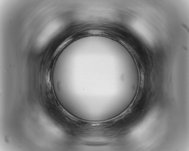 X0000094221198200710260947