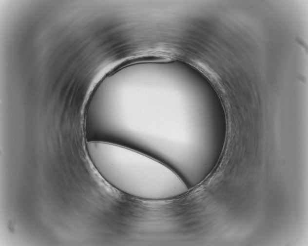 X0000094221200200710260947