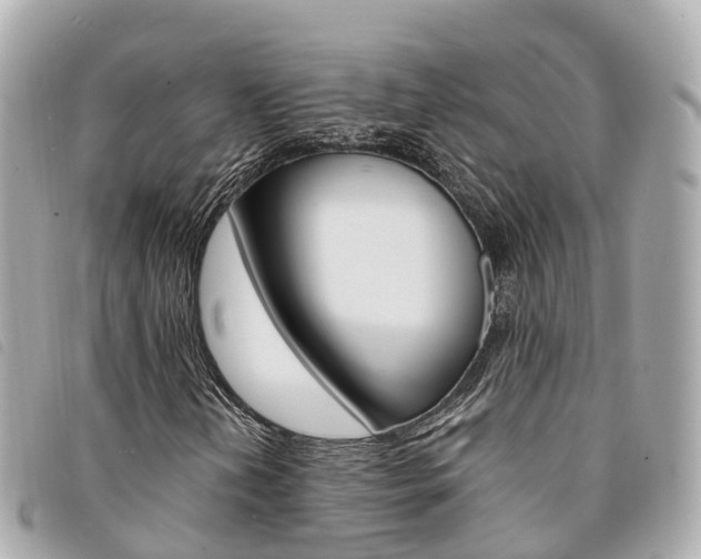 X0000094221202200710260947