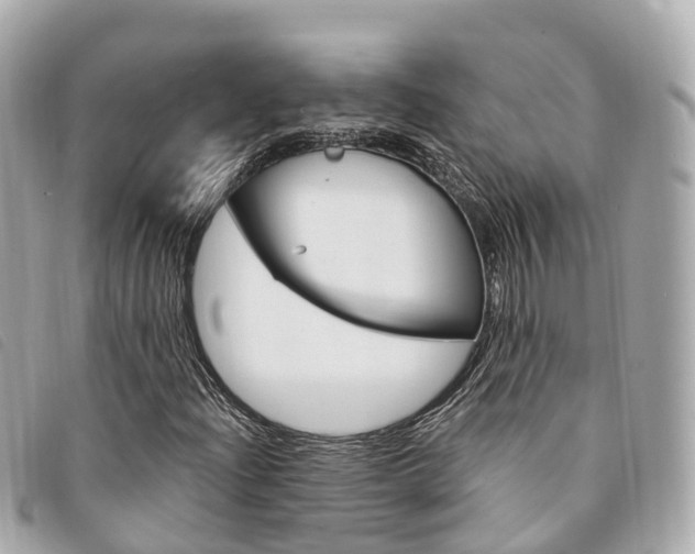 X0000094221204200710260947