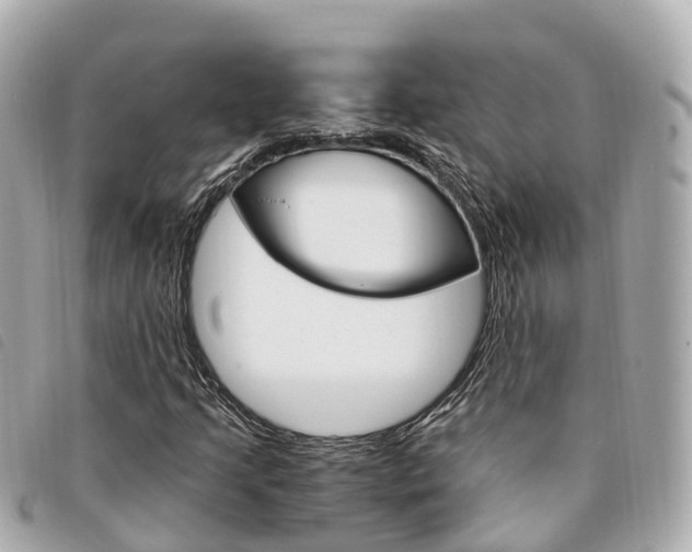 X0000094221205200710260947