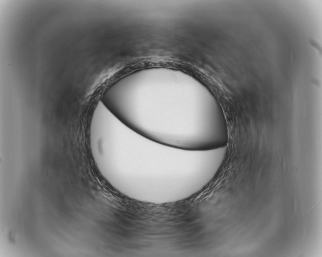 X0000094221207200710260947