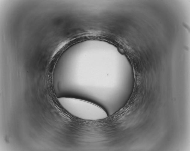 X0000094221208200710260947
