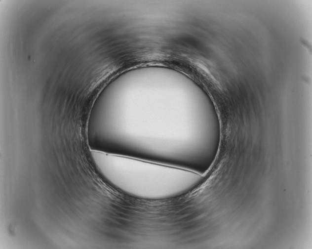 X0000094221209200710260947