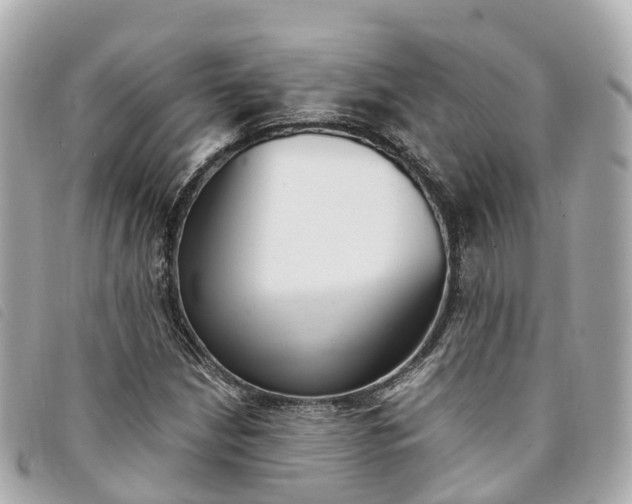 X0000094221210200710260947