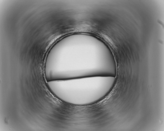 X0000094221212200710260947