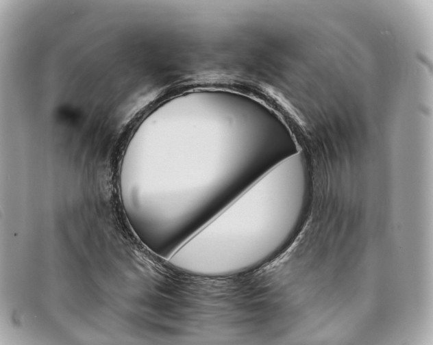 X0000094221213200710260947