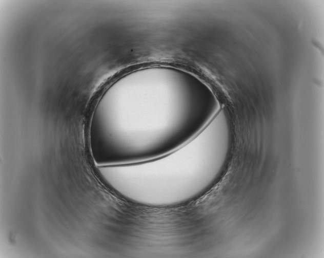 X0000094221214200710260947