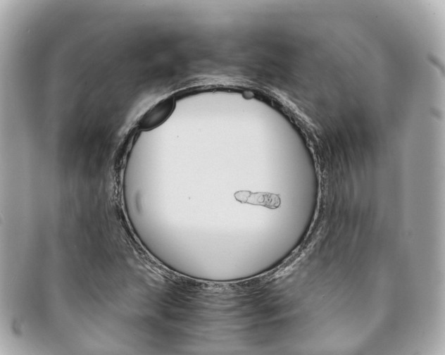 X0000094221215200710260947