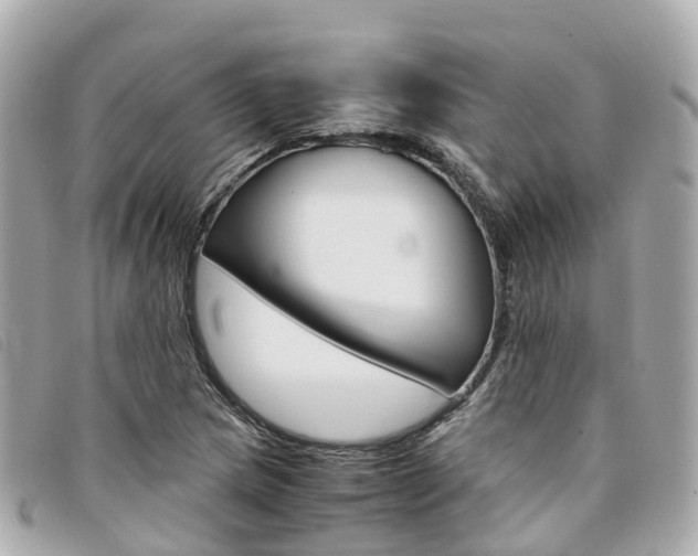 X0000094221217200710260947