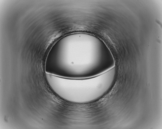 X0000094221218200710260947