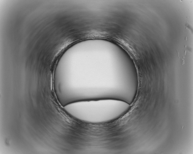 X0000094221219200710260947