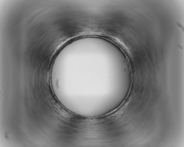 X0000094221220200710260947