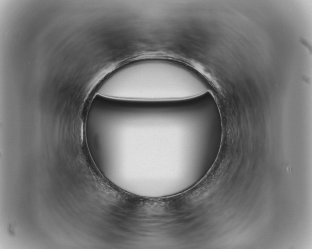 X0000094221221200710260947