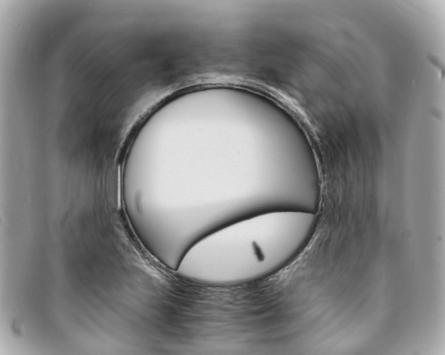 X0000094221223200710260947