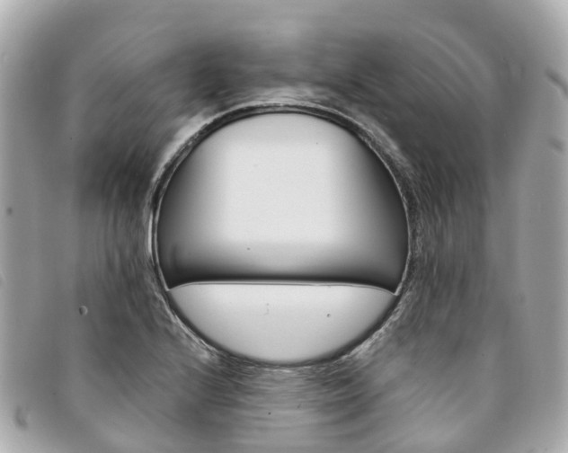 X0000094221224200710260947