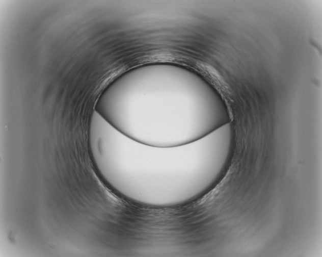 X0000094221225200710260947