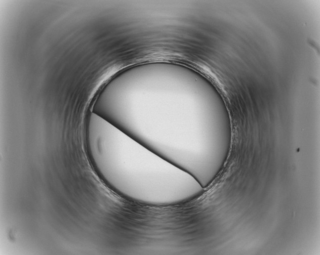 X0000094221227200710260947