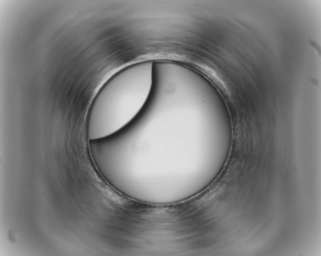 X0000094221228200710260947