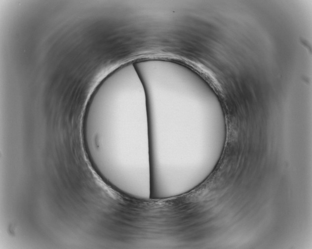 X0000094221231200710260947