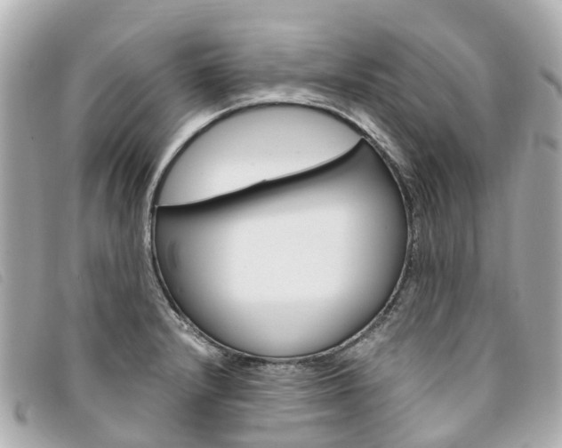 X0000094221232200710260947