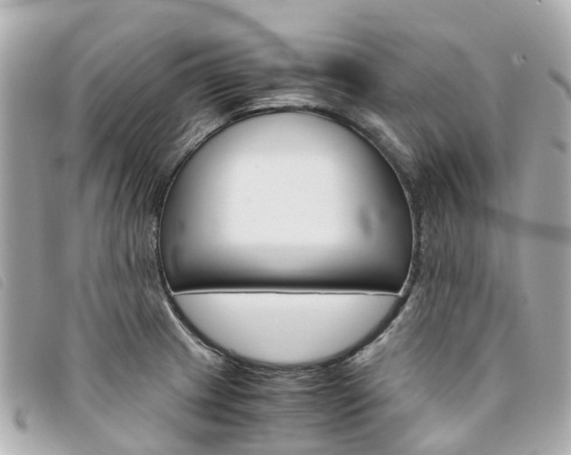 X0000094221233200710260947