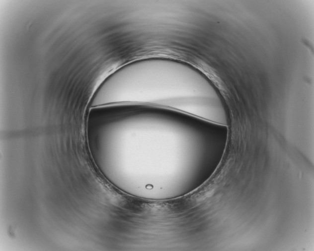 X0000094221234200710260947
