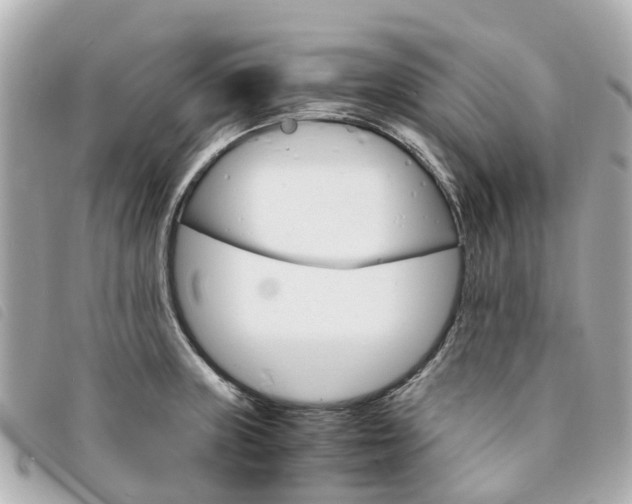 X0000094221235200710260947