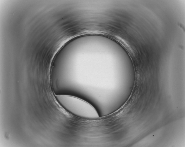 X0000094221236200710260947