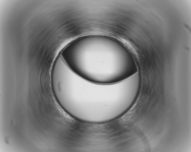X0000094221238200710260947