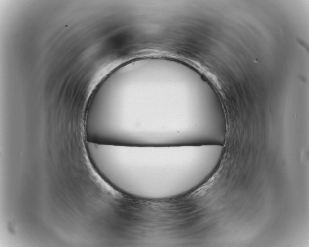 X0000094221239200710260947