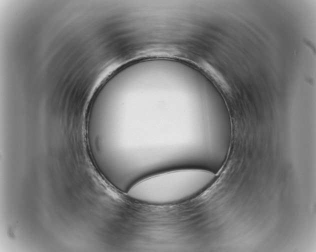 X0000094221240200710260947