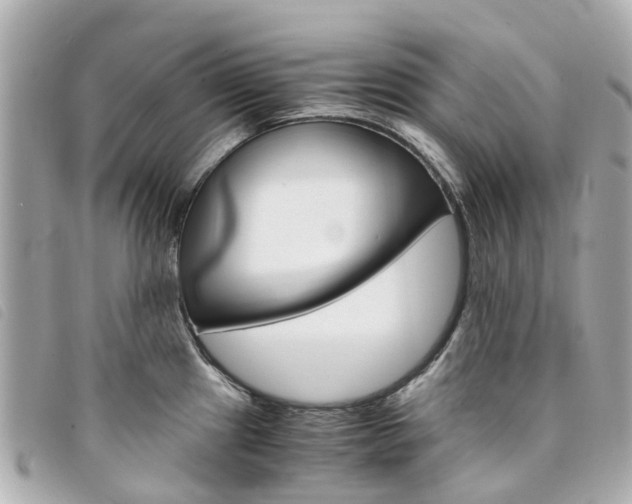 X0000094221241200710260947