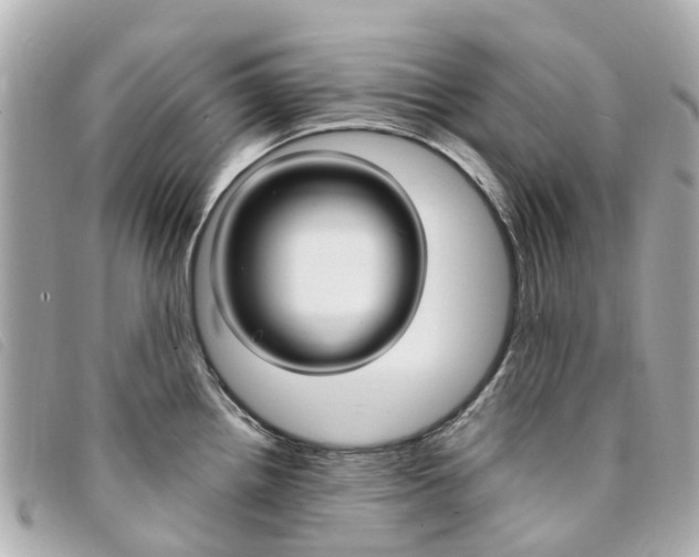 X0000094221242200710260947