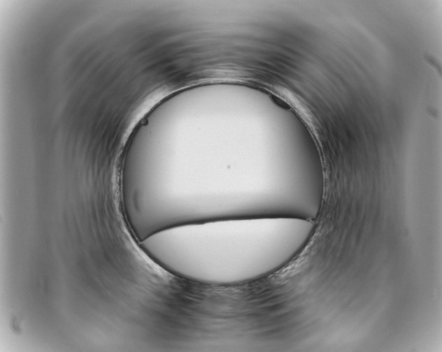 X0000094221243200710260947