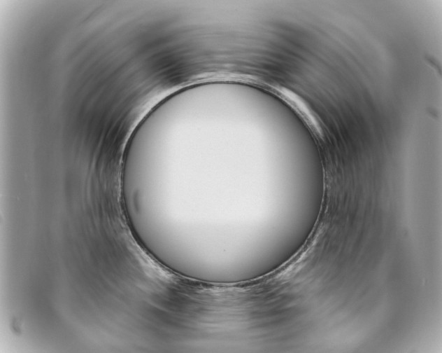 X0000094221244200710260947