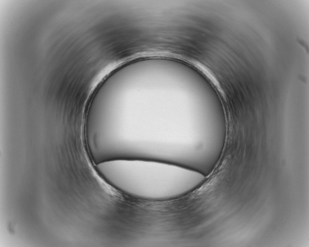 X0000094221245200710260947