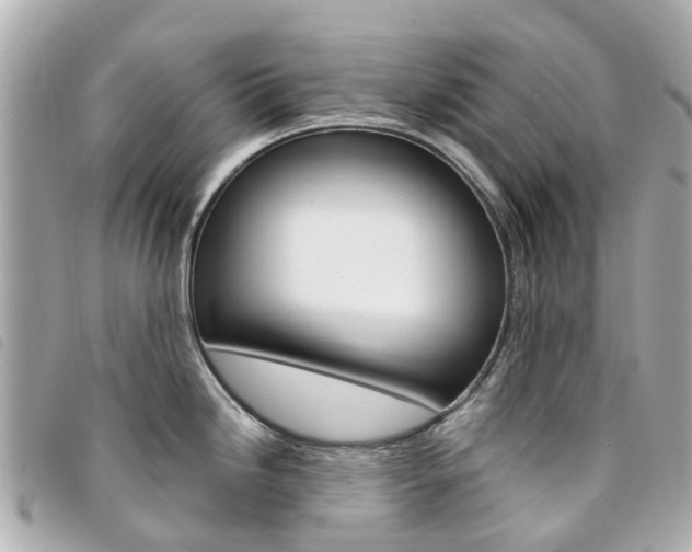 X0000094221246200710260947