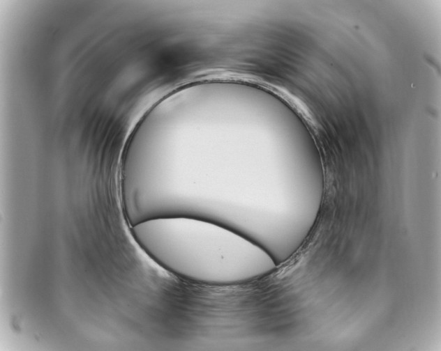 X0000094221247200710260947