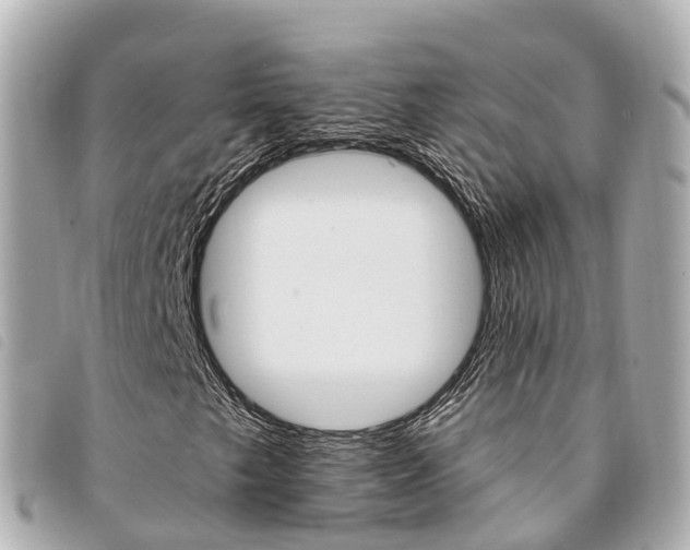 X0000094221249200710260947