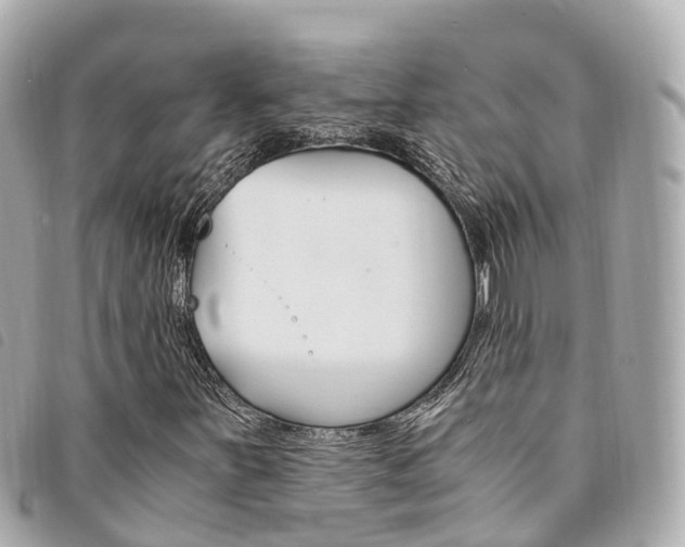 X0000094221251200710260947