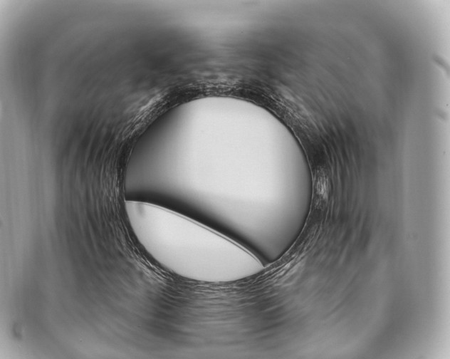 X0000094221252200710260947