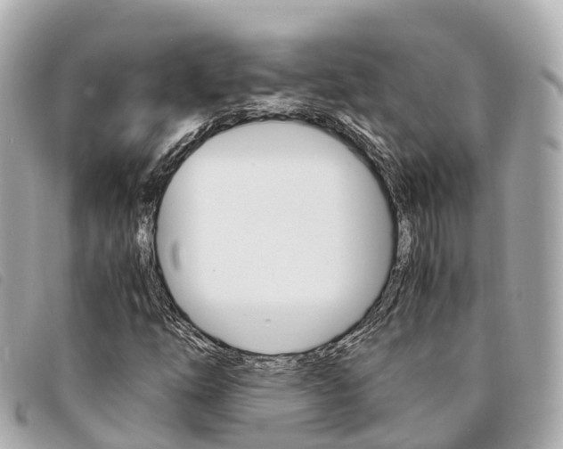 X0000094221254200710260947