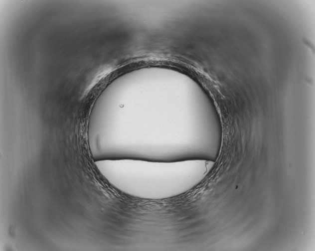 X0000094221255200710260947