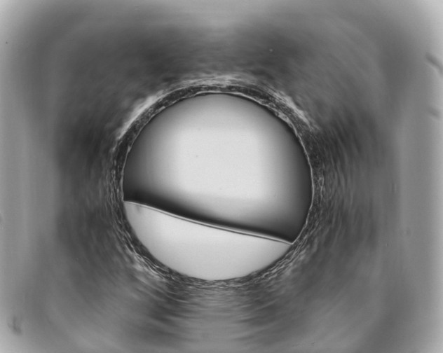 X0000094221256200710260947
