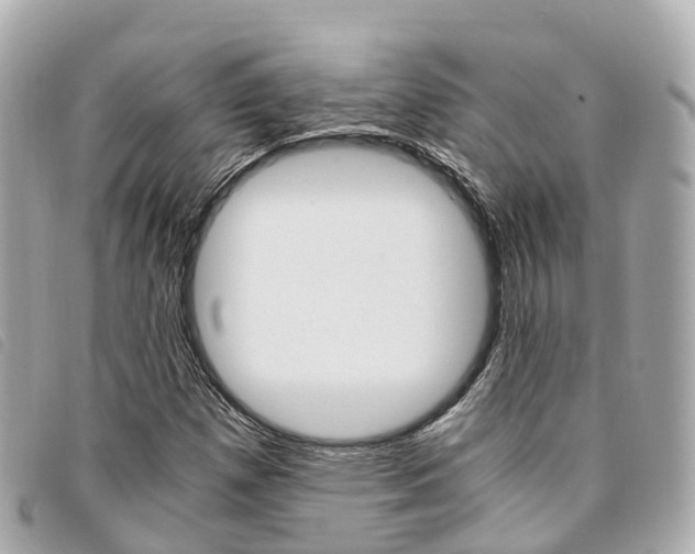 X0000094221257200710260947