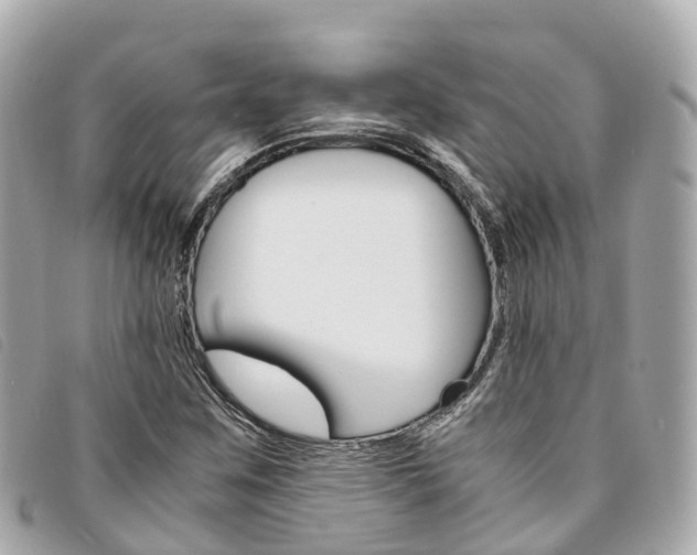 X0000094221259200710260947