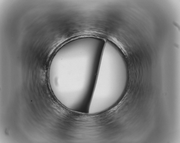 X0000094221260200710260947