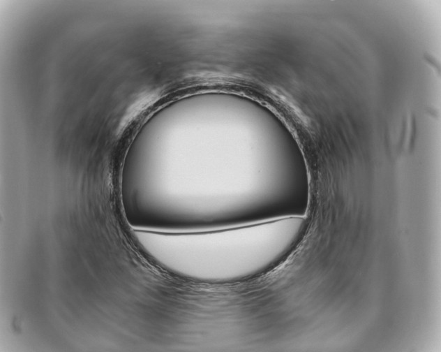 X0000094221261200710260946
