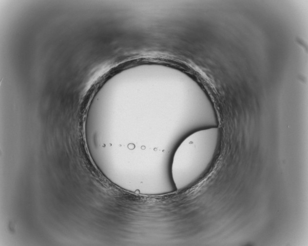 X0000094221263200710260946